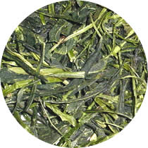 ���R�V���t