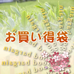 ���������ܗ�����