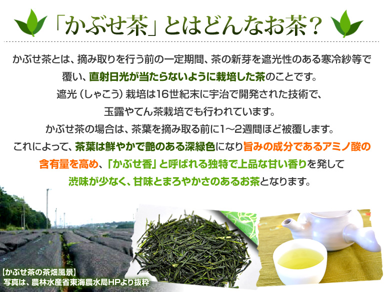 ���Ԃ����Ƃ͂ǂ�Ȃ����H