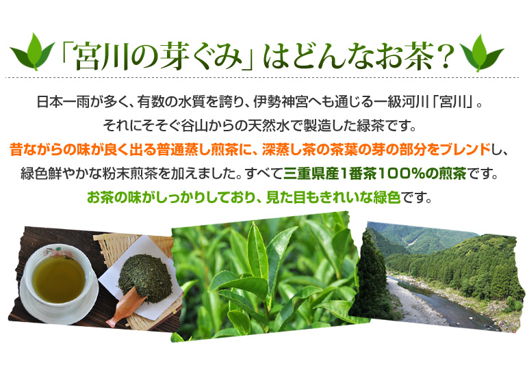 �{��̉肮�݂͂ǂ�Ȃ����H