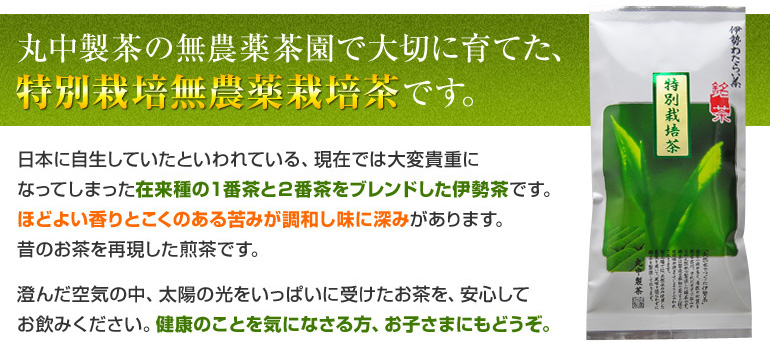 ���_�ƍ͔|��