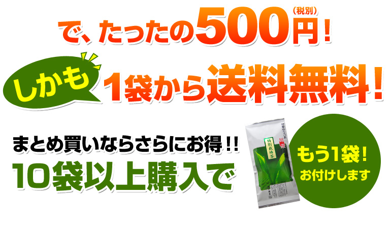 10�{�܂Ƃߔ����ł���