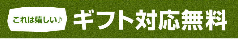 �M�t�g�Ή�����