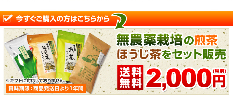 無農薬栽培の煎茶・ほうじ茶をセット販売　送料無料２０００円