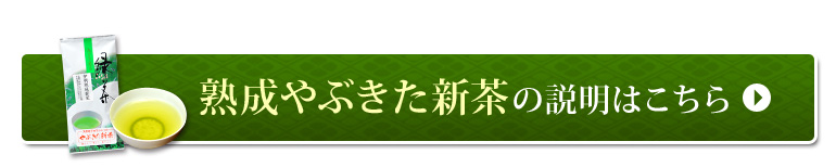 �n����Ԃ����V���̐����͂�����