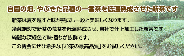 �����̔��A��Ԃ����i��̈�Ԓ���ቷ�n���������V���ł�