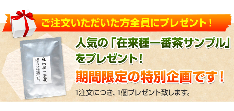 ���������������������S���Ƀv���[���g