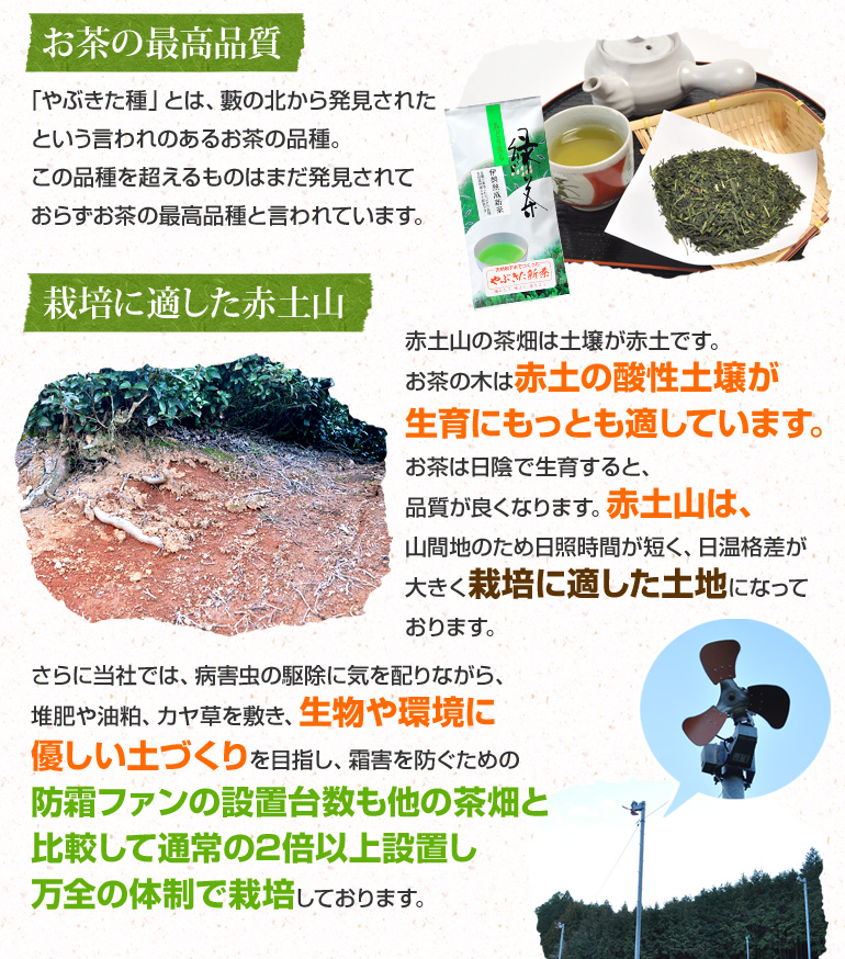 ��Ԃ�����