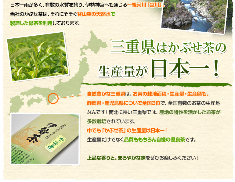 三重県はかぶせ茶の生産量が日本一！
