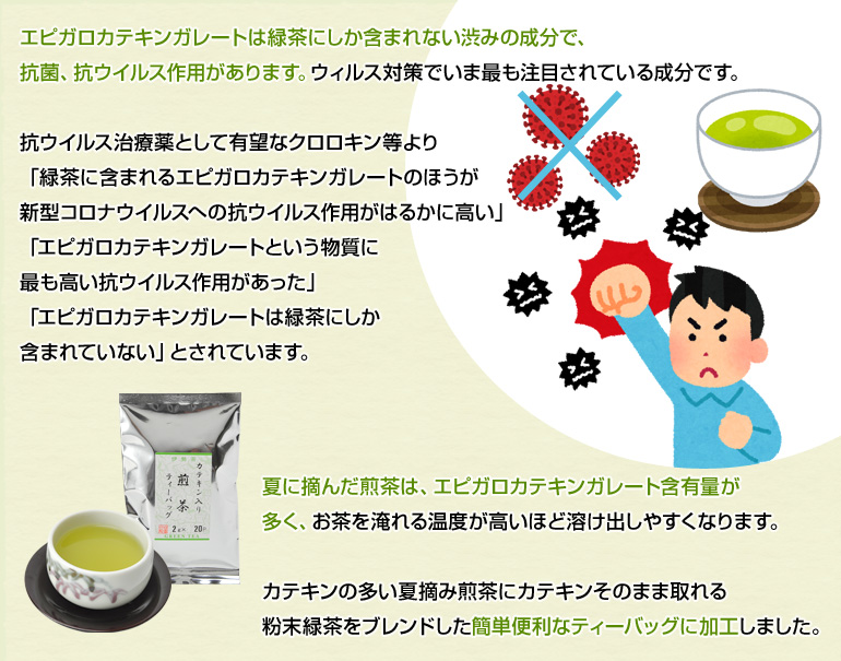 �G�s�K���J�e�L���K���[�g�͗Β��ɂ����܂܂�Ȃ��a�݂̐����ŁA�R�ہA�R�E�C���X��p������܂��B